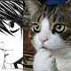 Illustration for article titled Japans Totally Looks Like Meme Is Totally Amusing